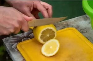 Capture decran 3 11 2025 3186 www.astucesantemag.com Citrons noircis : danger ou simple surprise ? On fait le point !