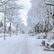 Capture decran 4 11 2025 211037 www.boursicoteur.co C’est confirmé : un épisode neigeux va toucher la France cette semaine — voici les régions concernées