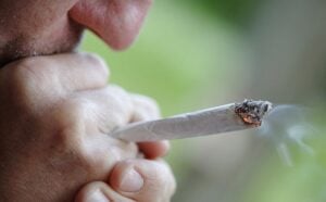 Une loi pourrait interdire la vente de cigarettes aux personnes nées après 2013 2 Une loi pourrait interdire la vente de cigarettes aux personnes nées après 2013 Capture decran 7 11 2025 01550 i.dailymail.co .uk Une loi pourrait interdire la vente de cigarettes aux personnes nées après 2013