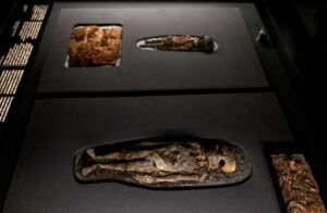 Les trésors de Toutânkhamon émerveillent les visiteurs du Grand Musée égyptien du Caire 4 Les trésors de Toutânkhamon émerveillent les visiteurs du Grand Musée égyptien du Caire Capture decran 9 11 2025 152829 www.rtbf .be Les trésors de Toutânkhamon émerveillent les visiteurs du Grand Musée égyptien du Caire