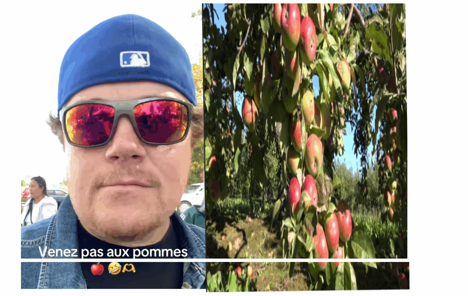 JJ « Ne venez pas aux pommes » : un TikTokeur québécois relance le débat sur la cueillette de pommes