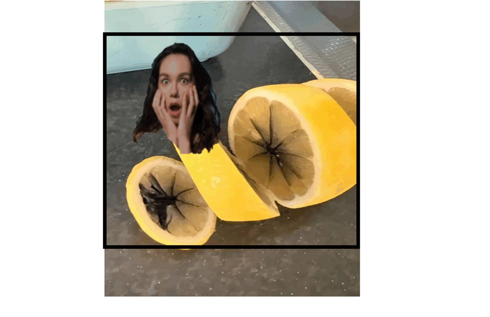 OO Citrons noircis : danger ou simple surprise ? On fait le point !