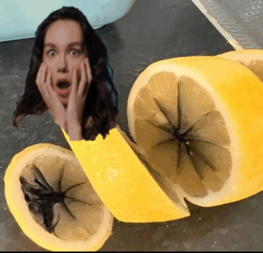 OO e1762158862313 Citrons noircis : danger ou simple surprise ? On fait le point !