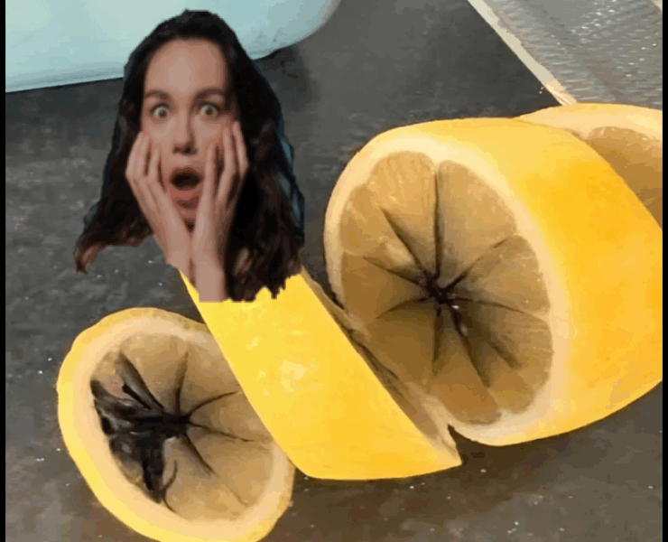 OO e1762158862313 Citrons noircis : danger ou simple surprise ? On fait le point !