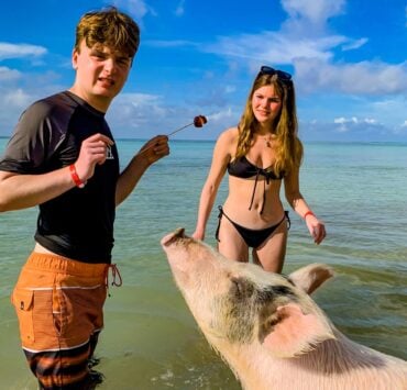 Princess waits patiently for apples Blake Ford photo un cochon rose en promenade sur la plage du Payrolle Insolite à Marseillan