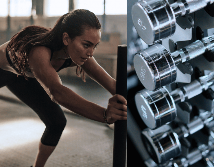 Une etude revele que les equipements des salles de sport contiennent 363x plus de bacteries que les cuvettes de toilette 2 e1763793521534 Étude choc : le matériel de gym serait 363 fois plus sale que les toilettes