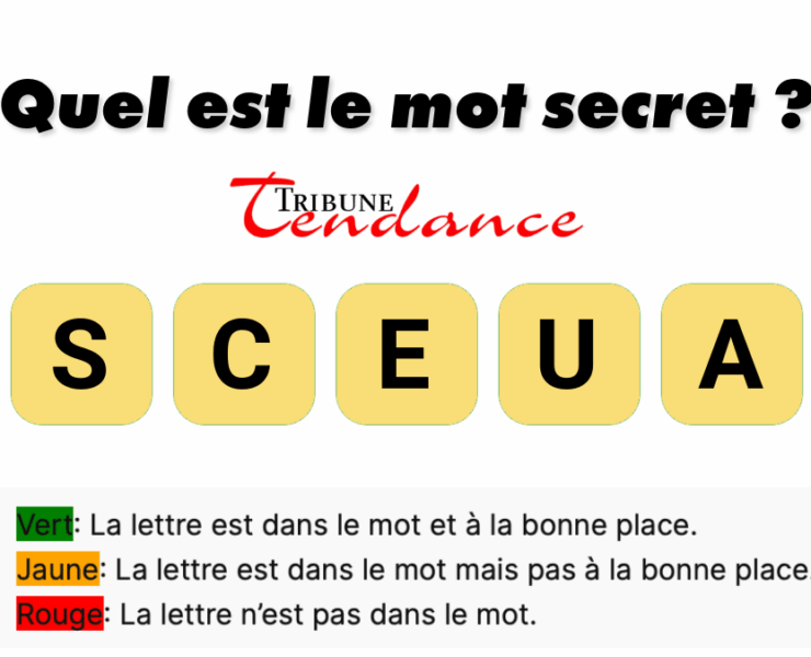 game virale image cause 3 D&eacute;fi: Mot de 5 Lettres en 2 Minutes