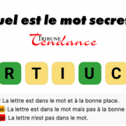 game virale image criquet 1 Défi: Mot de 7 Lettres en 2 Minutes!