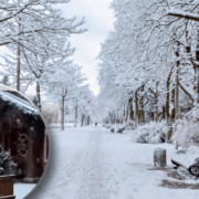 montage final 1762309050 C’est confirmé : un épisode neigeux va toucher la France cette semaine — voici les régions concernées
