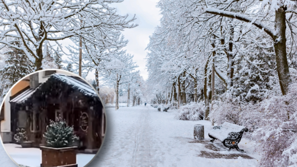 montage final 1762309050 C’est confirmé : un épisode neigeux va toucher la France cette semaine — voici les régions concernées