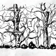 L’animal que vous verrez en premier révélera vos traits de personnalité 13 L’animal que vous verrez en premier révélera vos traits de personnalité Capture decran 2025 12 09 181551 L’animal que vous verrez en premier révélera vos traits de personnalité