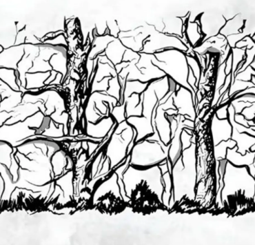 Capture decran 2025 12 09 181551 L’animal que vous verrez en premier révélera vos traits de personnalité