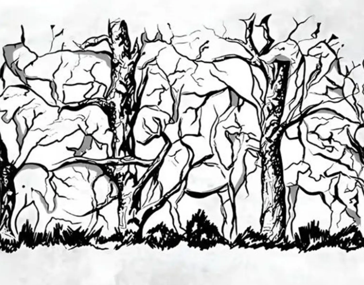 Capture decran 2025 12 09 181551 L’animal que vous verrez en premier révélera vos traits de personnalité