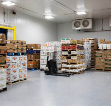 Capture decran 2025 12 17 111314 L&rsquo;action d&eacute;visse de 60 % : un important joueur alimentaire qu&eacute;b&eacute;cois au bord du gouffre