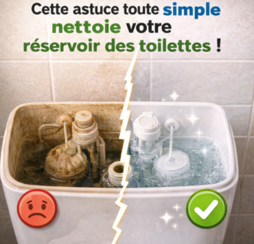 Capture decran 2025 12 22 143831 Cette astuce toute simple nettoie votre r&eacute;servoir des toilettes !