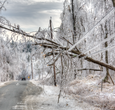 Capture decran 2025 12 29 081155 Les prochaines heures s&rsquo;annoncent extr&ecirc;mes au Qu&eacute;bec : voici ce qui pourrait vous attendre