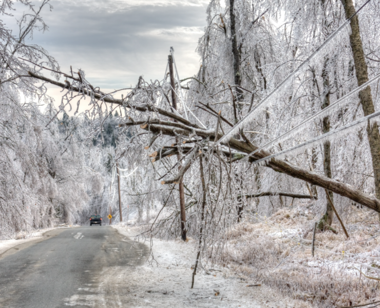 Capture decran 2025 12 29 081155 Les prochaines heures s&rsquo;annoncent extr&ecirc;mes au Qu&eacute;bec : voici ce qui pourrait vous attendre
