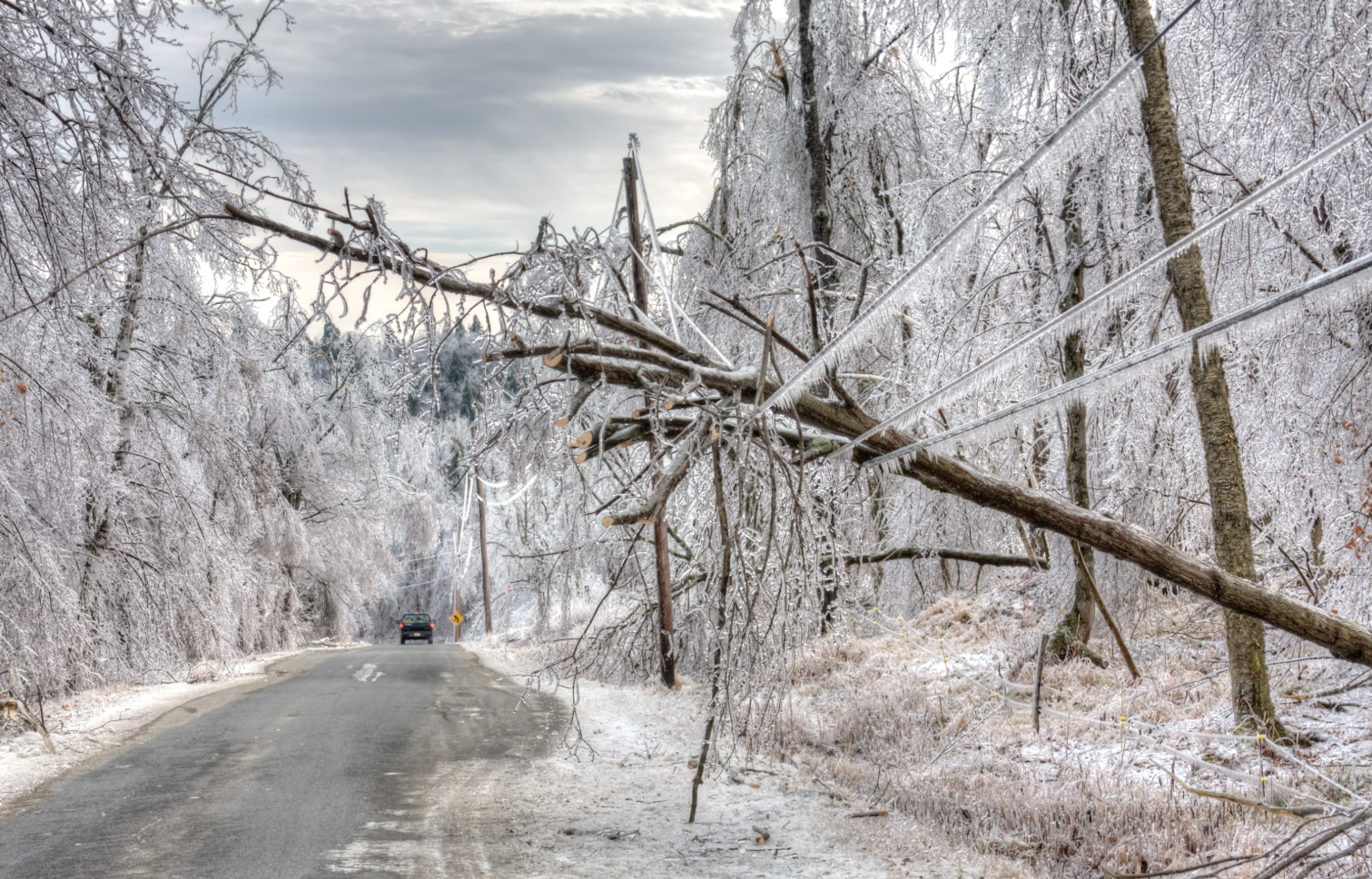 Les prochaines heures s’annoncent extrêmes au Québec : voici ce qui pourrait vous attendre 1 Les prochaines heures s’annoncent extrêmes au Québec : voici ce qui pourrait vous attendre Capture decran 2025 12 29 081155 Les prochaines heures s’annoncent extrêmes au Québec : voici ce qui pourrait vous attendre