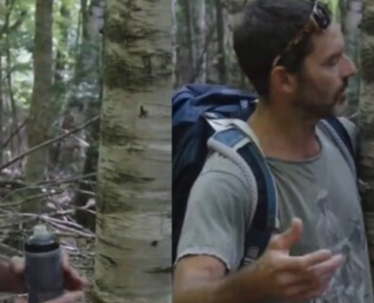 Capture decran 2025 12 31 122540 Guillaume Lemay-Thivierge confront&eacute; par deux hommes devant le fameux bouleau