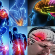 Capture decran le 2025 12 07 a 02.04.18 AVC : un danger encore sous-estimé, surtout chez les femmes