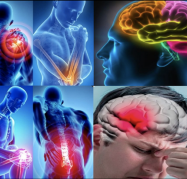 Capture decran le 2025 12 07 a 02.04.18 AVC : un danger encore sous-estimé, surtout chez les femmes