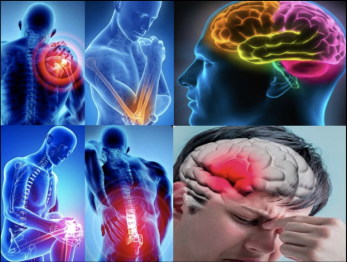 L'AVC : Un Tueur Invisible Qui Attaque Les Femmes Plus Que Vous Ne le Pensez 1 L'AVC : Un Tueur Invisible Qui Attaque Les Femmes Plus Que Vous Ne le Pensez Capture decran le 2025 12 07 a 02.04.18 L'AVC : Un Tueur Invisible Qui Attaque Les Femmes Plus Que Vous Ne le Pensez