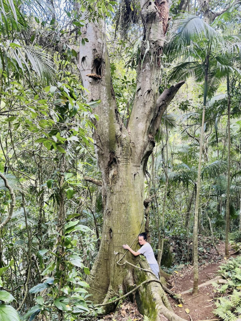 Capture decran le 2025 12 08 a 01.14.54 De l'h&ocirc;tel de ville aux horizons lointains : Val&eacute;rie Plante partage sa m&eacute;tamorphose en 12 photos