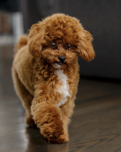 Sophie Thibault n’est pas seule : elle publie une photo de son compagnon de cœur 4 Sophie Thibault n’est pas seule : elle publie une photo de son compagnon de cœur Capture decran le 2025 12 12 a 00.38.35 Sophie Thibault n’est pas seule : elle publie une photo de son compagnon de cœur