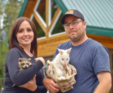 Capture decran le 2025 12 14 a 03.02.32 Choc au Miller Zoo : Pourquoi &Eacute;milie et Cliff disent adieu &agrave; leur show l&eacute;gendaire