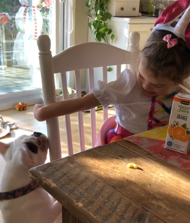 Capture decran le 2025 12 14 a 03.24.21 Brigitte Boisjoli partage de rares photos d'amour avec ... et fait fondre les internautes