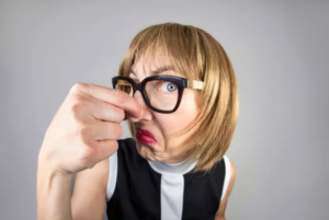 Une nouvelle étude révèle que sentir ses propres pets pourrait améliorer le cerveau et réduire les risques d'Alzheimer 2 Une nouvelle étude révèle que sentir ses propres pets pourrait améliorer le cerveau et réduire les risques d'Alzheimer Capture decran le 2025 12 15 a 16.08.32 Une nouvelle étude révèle que sentir ses propres pets pourrait améliorer le cerveau et réduire les risques d'Alzheimer