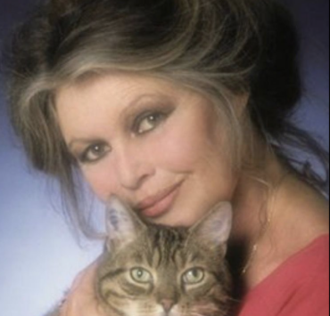 Capture decran le 2025 12 28 a 08.55.25 Brigitte Bardot est d&eacute;c&eacute;d&eacute;e &agrave; l'&acirc;ge de 91 ans