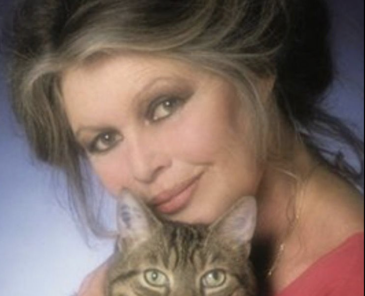 Capture decran le 2025 12 28 a 08.55.25 Triste nouvelle : Brigitte Bardot est d&eacute;c&eacute;d&eacute;e &agrave; l'&acirc;ge de 91 ans