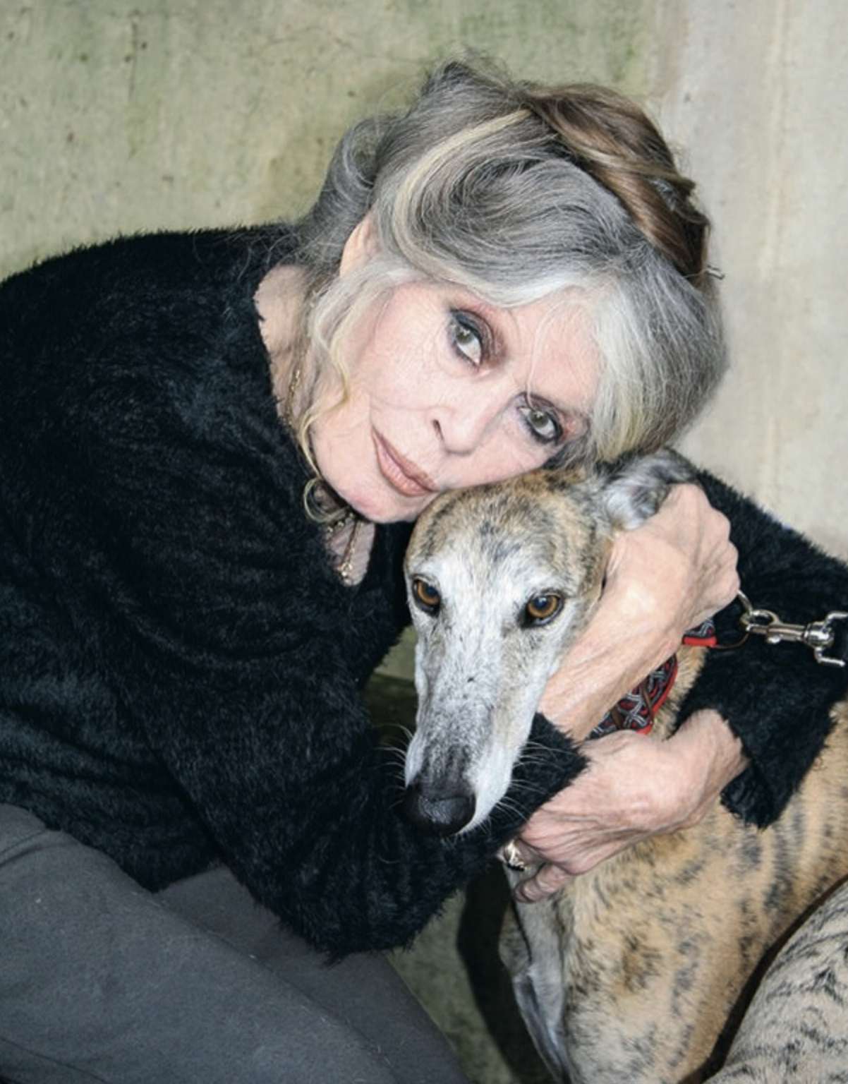 Capture decran le 2025 12 28 a 09.13.21 Triste nouvelle : Brigitte Bardot est d&eacute;c&eacute;d&eacute;e &agrave; l'&acirc;ge de 91 ans