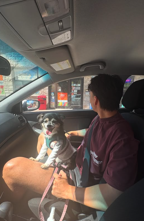 Capture le 2025 12 24 a 00.40.05 Charlie Lemay-Thivierge partage des clich&eacute;s amoureux avec son conjoint