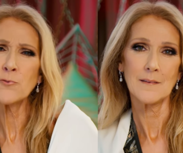 Capture le 2025 12 25 a 15.43.17 C&eacute;line Dion adresse un touchant message pour No&euml;l&hellip; et surprend tout le monde d&eacute;guis&eacute;e en Grinch!