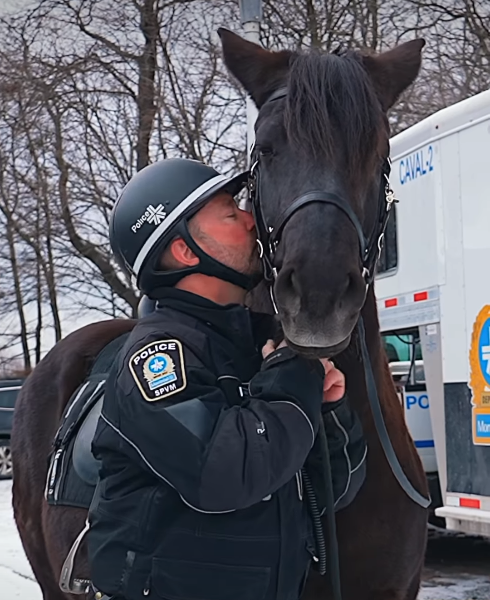 Capture le 2025 12 27 a 19.33.02 Adieu Rosco : le fid&egrave;le cheval policier tr&egrave;s connu au Qu&eacute;bec laisse un vide...