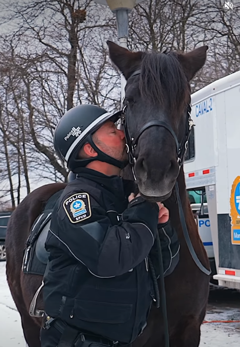 Capture le 2025 12 27 a 19.33.02 Adieu Rosco : le fid&egrave;le cheval policier tr&egrave;s connu au Qu&eacute;bec laisse un vide...