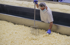 Capture le 2025 12 29 a 06.07.44 Nostalgie gourmande : le fromage qu&eacute;b&eacute;cois qui &eacute;meut aux antipodes