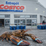 ChatGPT Image 29 dec. 2025 23 57 33 ALERT vol spectaculaire : 400 000 $ de homards destin&eacute;s &agrave; Costco disparaissent