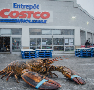 ChatGPT Image 29 dec. 2025 23 57 33 ALERT vol spectaculaire : 400 000 $ de homards destin&eacute;s &agrave; Costco disparaissent