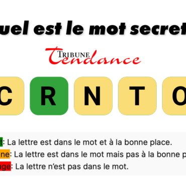game virale image tronc 1 D&eacute;fi: Mot de 5 Lettres en 2 Minutes