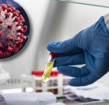 montage final 1765965524 Influenza A : Le Virus Qui Frappe Fort Pendant Les F&ecirc;tes!