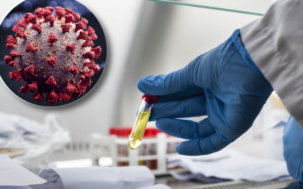 montage final 1765965524 Influenza A : Le Virus Qui Frappe Fort Pendant Les F&ecirc;tes!