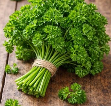 5bce3cce 4e69 4ade 9664 ab8e9e02f6c1 md Les chefs ont un secret pour garder le persil toujours frais le voici