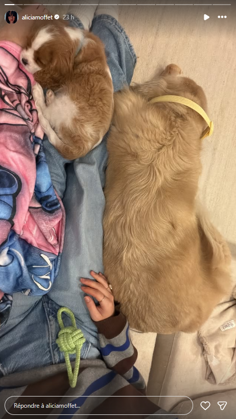 Capture decran 2026 01 04 201235 Alicia Moffet et Fred annoncent l'arriv&eacute;e d'un nouveau membre de la famille !