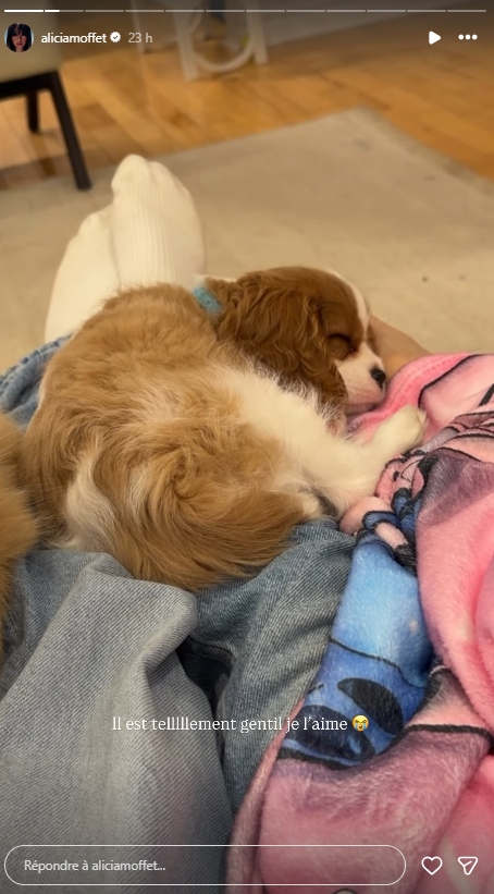 Capture decran 2026 01 04 201245 Alicia Moffet et Fred annoncent l'arriv&eacute;e d'un nouveau membre de la famille !