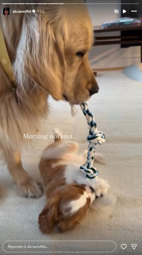 Capture decran 2026 01 04 201311 Alicia Moffet et Fred annoncent l'arriv&eacute;e d'un nouveau membre de la famille !