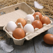 Capture decran 2026 01 13 194717 Quelle est la diff&eacute;rence entre les &oelig;ufs blancs et les &oelig;ufs bruns ?