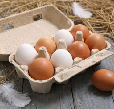 Quelle est la différence entre les œufs blancs et les œufs bruns ? 4 Quelle est la différence entre les œufs blancs et les œufs bruns ? Capture decran 2026 01 13 194717 Quelle est la différence entre les œufs blancs et les œufs bruns ?